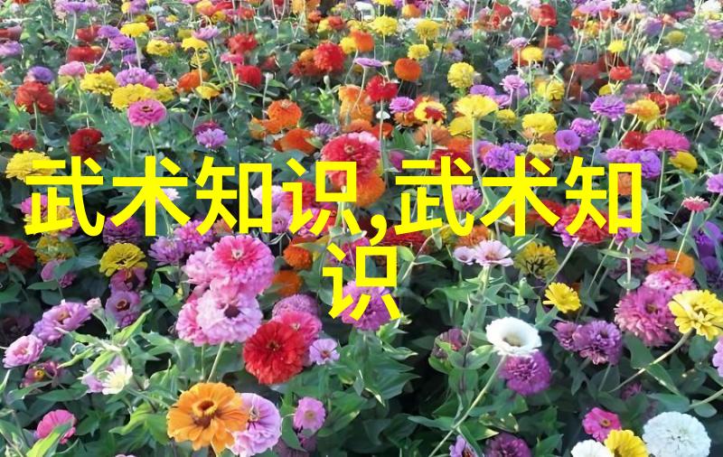 杨式大架中架小架学武术自学需谨慎安排