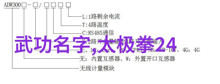 幽灵骑士团盗梦者之夜
