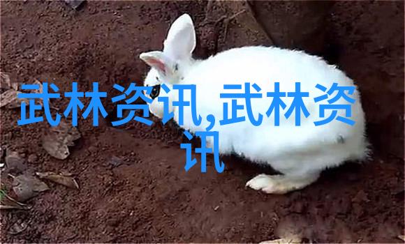 帮派名字儒雅古风-绀影幽兰探索传统文化的现代帮派名称