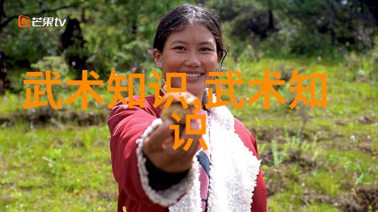 中国武术-中华武林的瑰宝30个传统门派的精髓与魅力