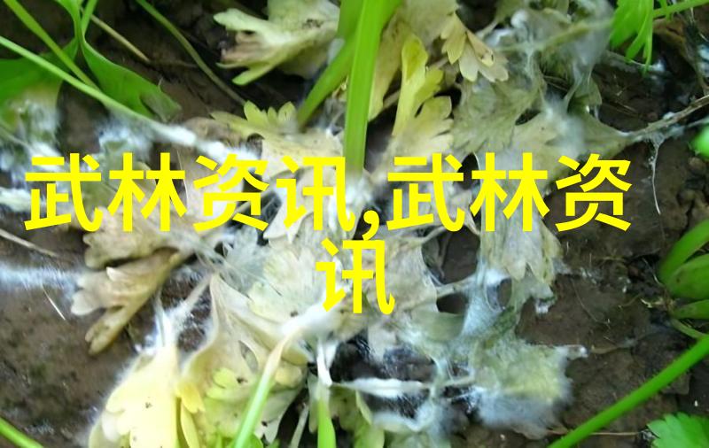 校园女生帮派的精彩名字选项