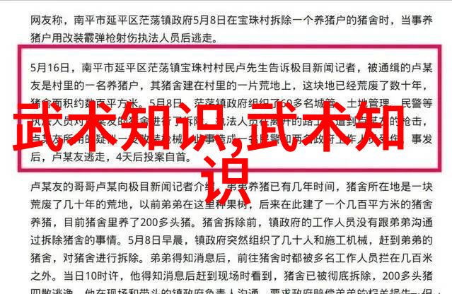 武术基础训练如何有效掌握12个关键动作