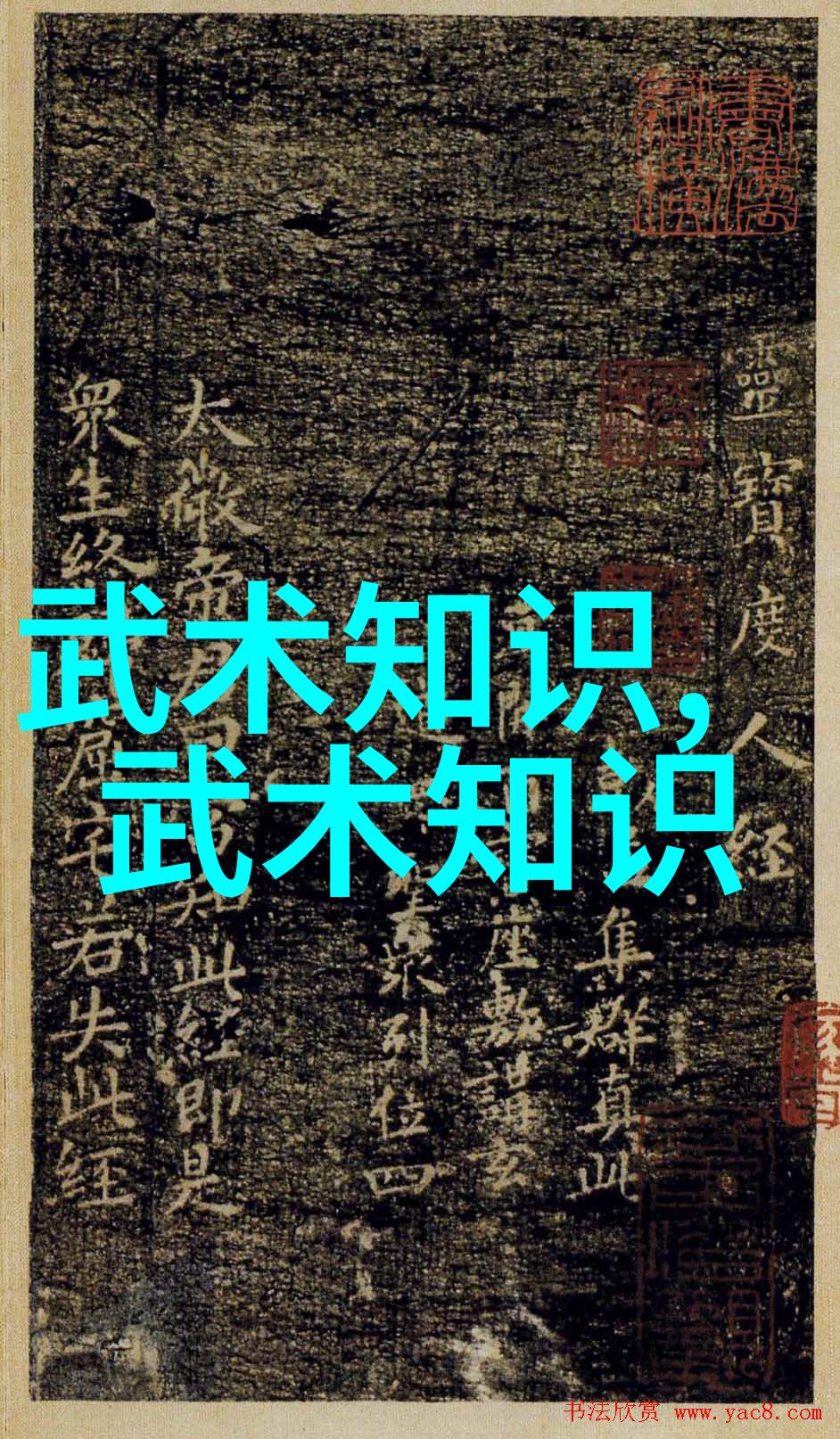 狂野心灵团队自由之翼下的挑战者
