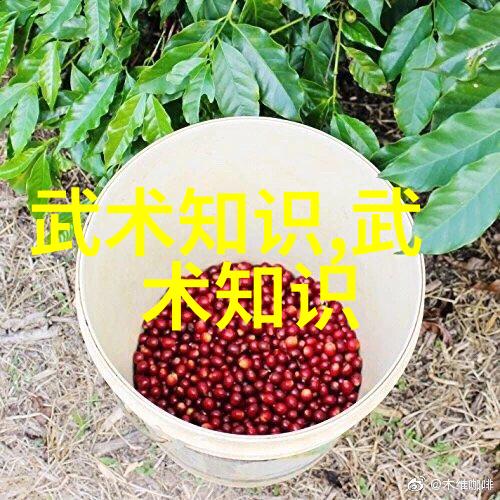 剑刃与代码分析禁用武术网站对未来文化的潜在影响