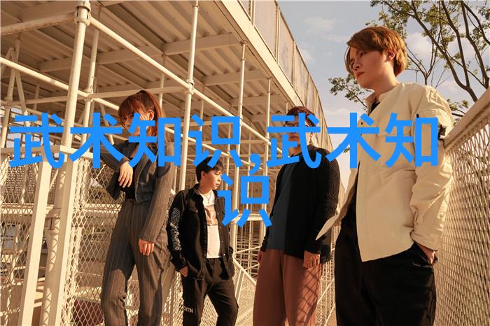 广东佛山业主争先挑战太极推手女擂台主