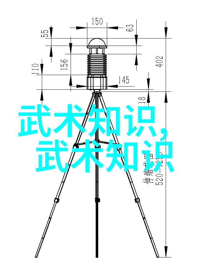 最佳武术学习年龄少年时光的挥洒与成长