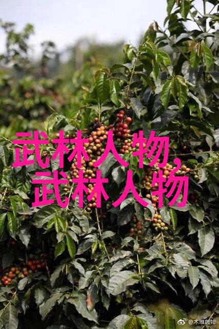 关于中国最有实战性的太极拳的物品思考