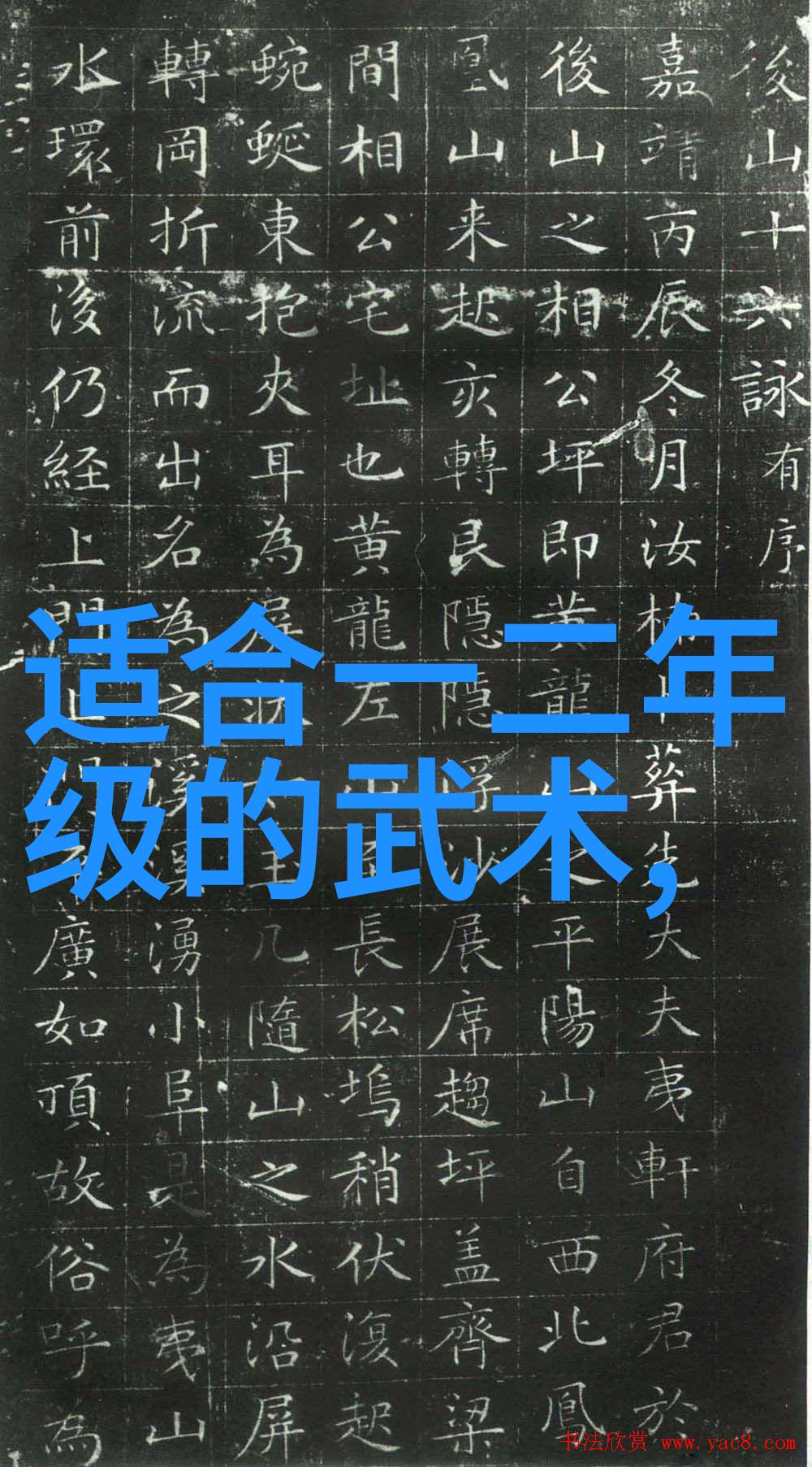 武林门派名字大全对偶拳艺儒家拳文家拳