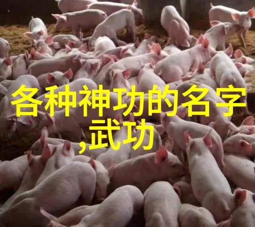 上古八大仙境中的太极螳螂拳在社会中传承与实践