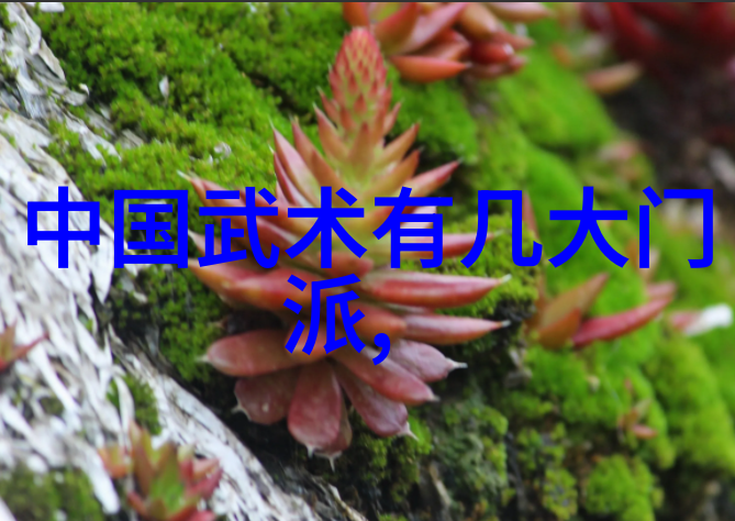 绚丽幻想好听的仙盟名称探秘