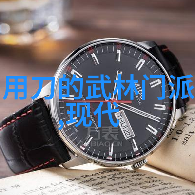 中国拳法有几种 - 揭秘中国武术中的五大门派
