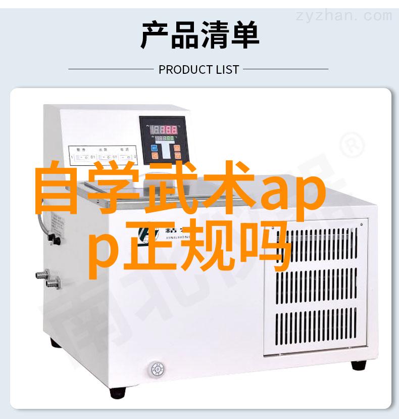 武林秘籍龙象太极门