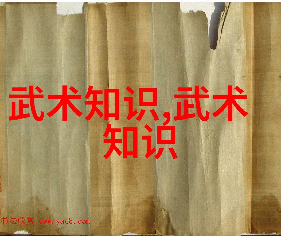 武学古秘录解读六字武功真谛