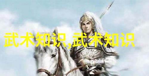 德国拳师在成都探索太极之韵济成的24式慢动作教程