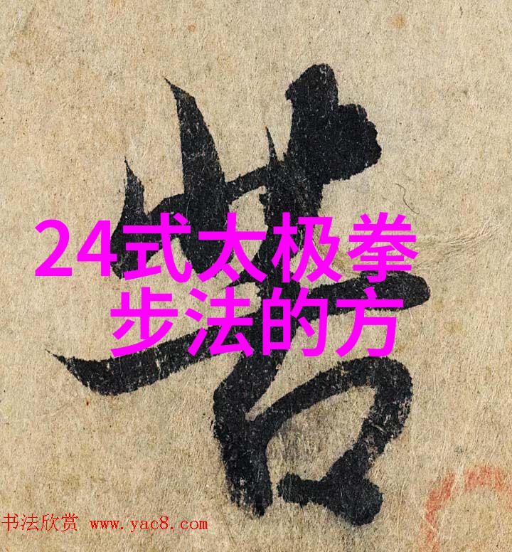 古代武功秘籍口诀揽月步云太极拳之韵