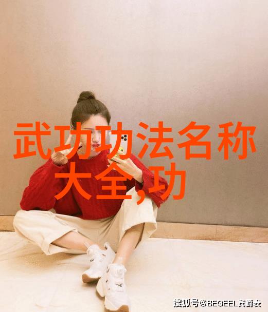 如何通过图像识别出不同流派的拳法特点