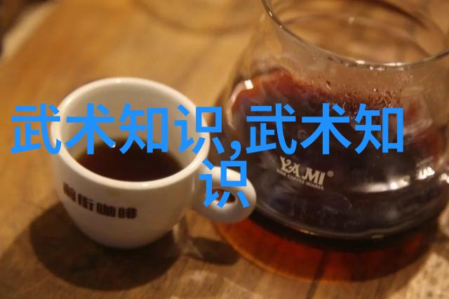 中国功夫门派实战排名人物的离合拳挑战