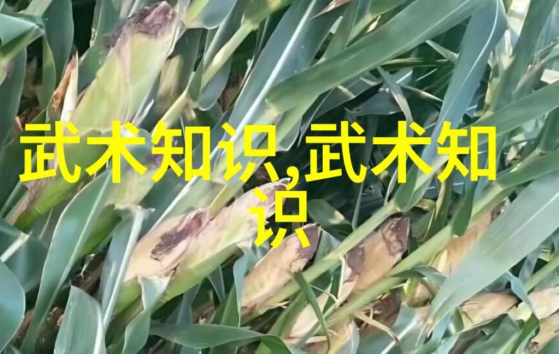 父亲开了女儿情包怎么办-温馨家庭的挑战如何面对父亲的情感误解