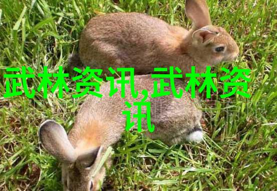 古代最强武功孙中华前膝不动
