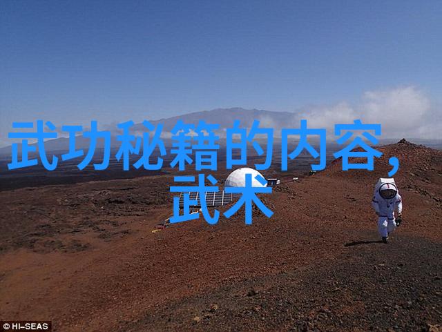 探索日本野花的美丽免费观看3中文版深度解析
