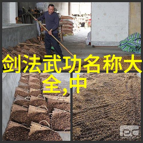世界上最强武功是什么移步意先移落步意先落