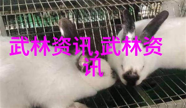金庸武林门派中的宗岳太极拳社会的内在力量展示