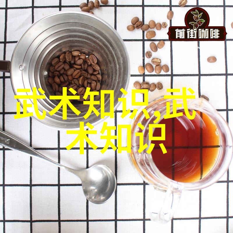 古籍探秘揭开武术书籍的尘封面纱