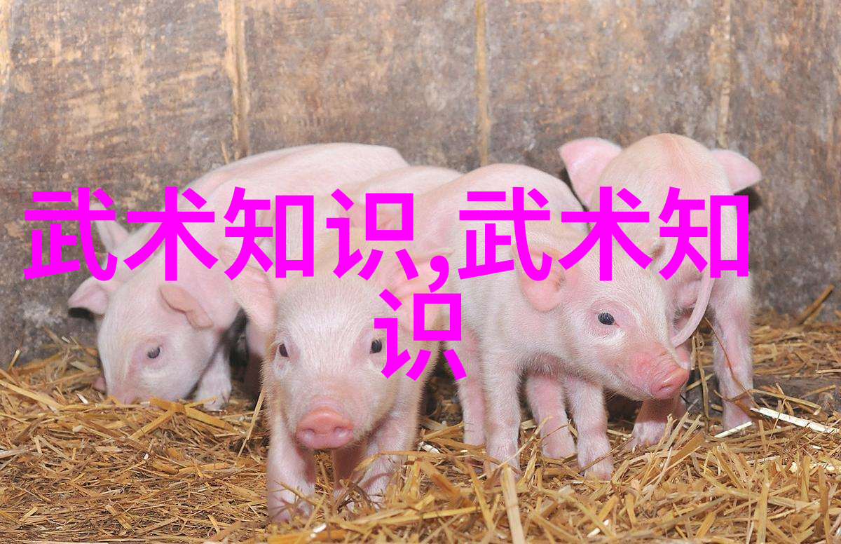 篮球动漫在社会中的回响答案球的力量