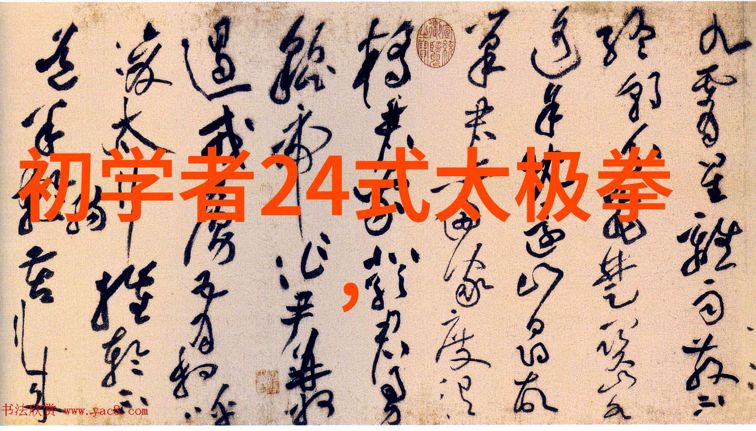 太极拳的深奥之道揭秘24式正面背面的艺术与哲学