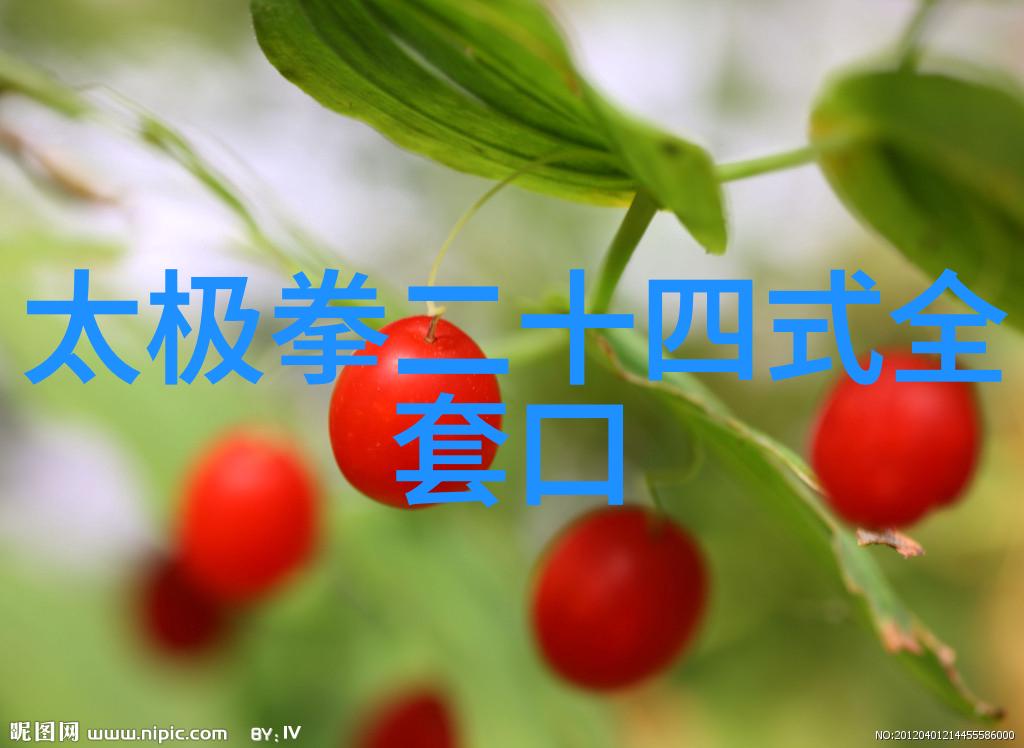 武林门派哪个最厉害太极门杨式太极拳领略内家拳的精妙
