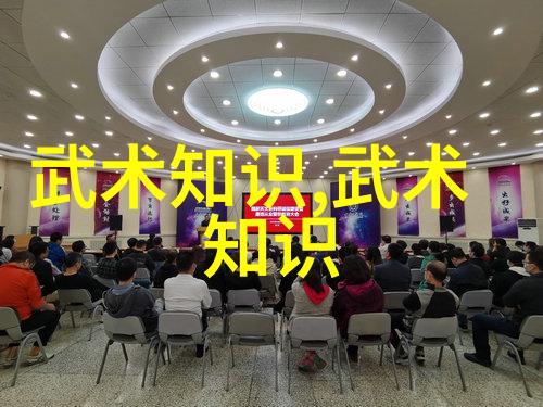 笑傲江湖陈家小架太极拳武林门派中的幽默之冠
