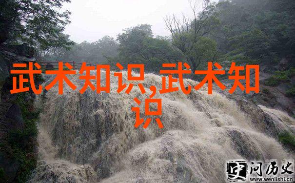 融合武学智慧太極拳和内家拳的对比分析