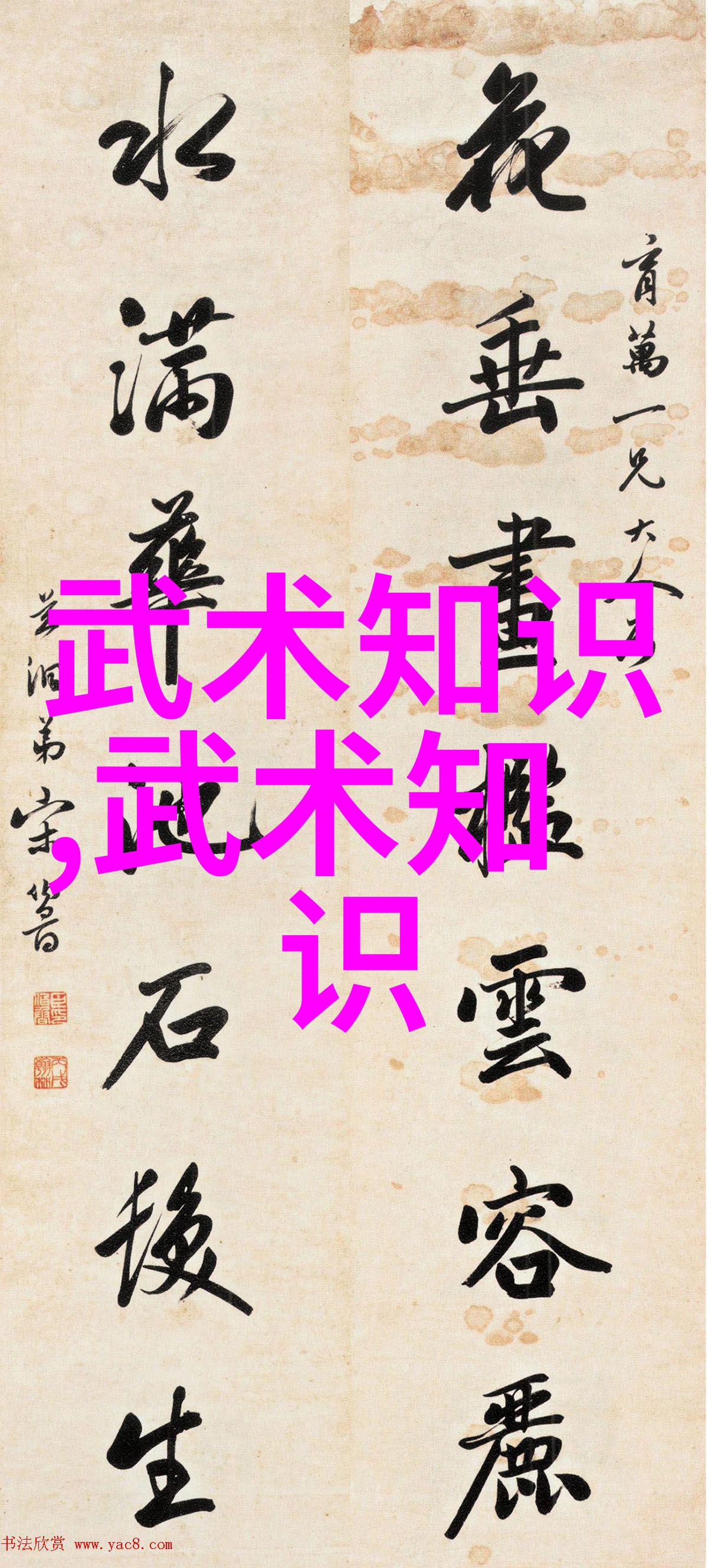 胡新朝探秘武林秘籍大全揭秘腰与胯关系之谜