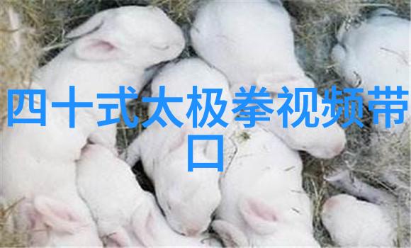 中国修真文化-揭秘中国几大修真门派的历史与现实