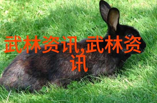 江湖武林哪个门派武功最为神通广大江湖中各大门派的武学实力比较
