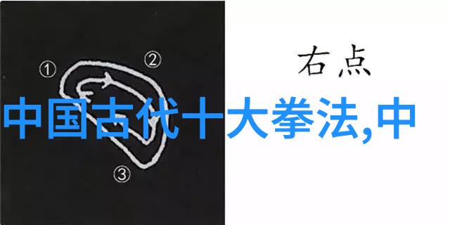 太极拳24式图解揭秘古老武术的动作奥秘与健康益处
