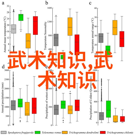 太极拳秘籍解锁十三式中的精髓动作