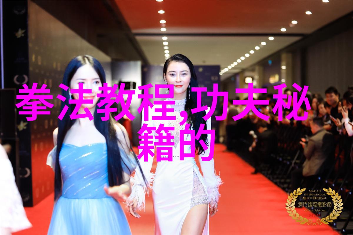内家外派功夫大全招式拳法的双重魅力