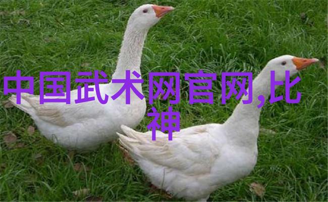 仙盟协会古风之名古老与神秘的仙盟协会名字