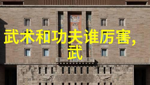 在全球范围内人们为什么越来越关注学习中国传统武术拳法