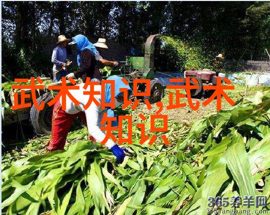 探秘贵州武林门派传承与古韵印记