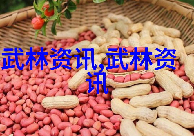 形意拳大PK哪个流派能让对手连招都忘记了