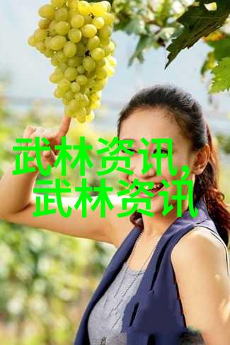 拳雨江湖中国拳法的千变万化与传统韵味