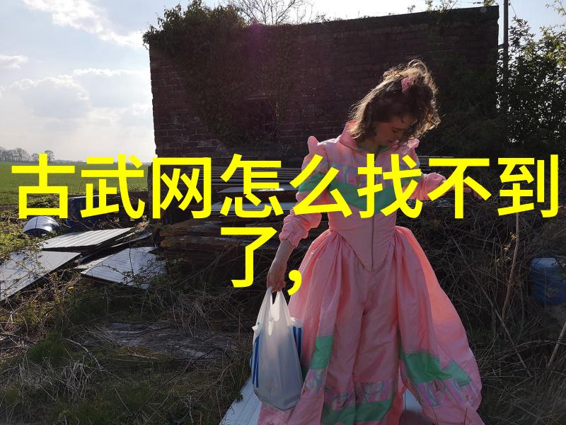 武林秘籍揭秘武术活动的奥义与魅力