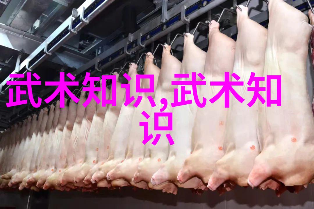 剑气漫卷寻踪古老仙盟的遗迹
