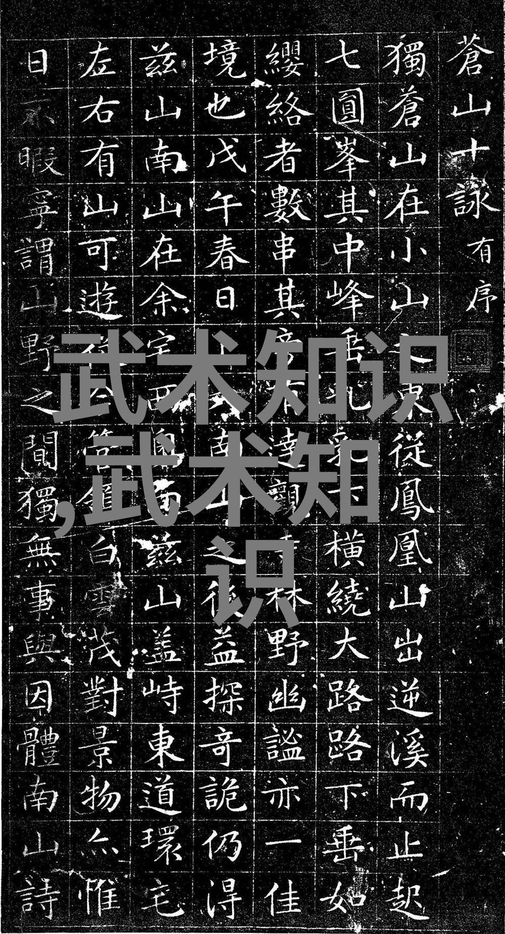 武术刚开始练什么浅谈太极拳推手中的出手如锉回手如钩技巧于子顺解析