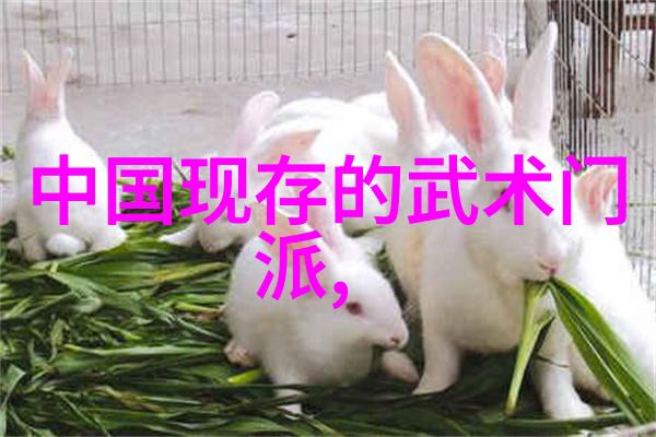试炼真谛揭示不同文化中的世界级最高水平武艺对抗方式