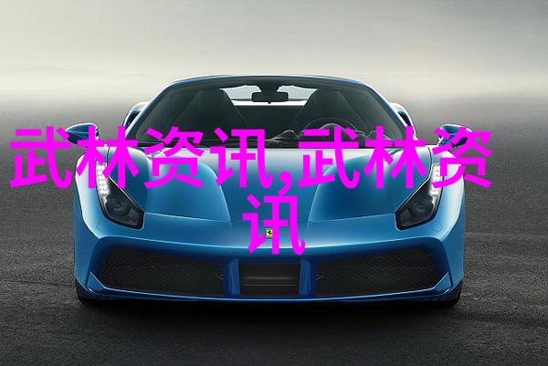 武功秘籍网悟道之谜