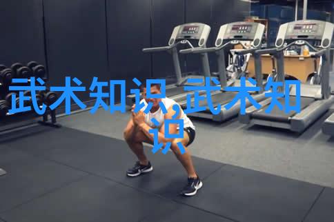 将传统与现代融合48式太极拳全套视频带口令究竟提供了哪些独特学习体验
