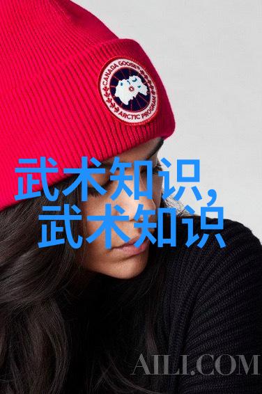 武术之路中华武术两次腾飞的辉煌历程-张秉山